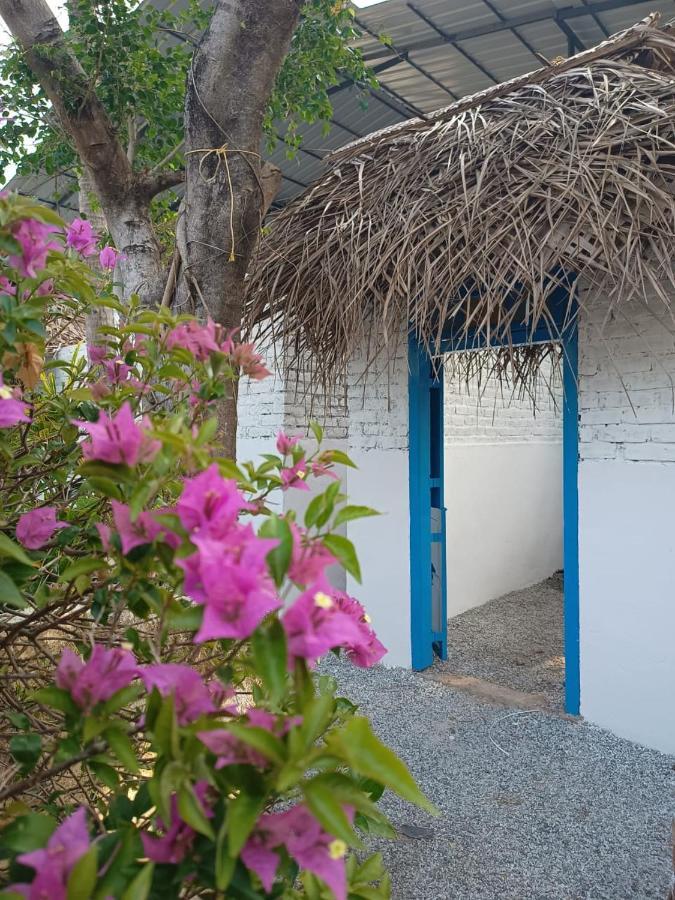Hostel Calaila Варкала Экстерьер фото